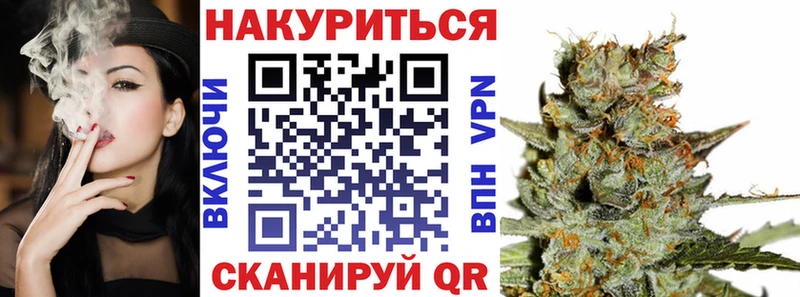 Конопля планчик Болгар